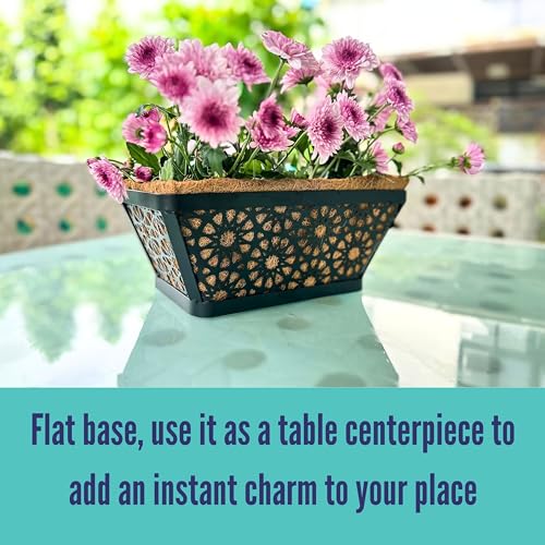 LaLaGreen Window Planter Boxes for Outdoor Plants (12 Inch, 2 Pack,) Small and Cute Black Metal Fence Hanging Planters Flower Basket Pot with Coco Liner Trendy Horse Troughs Balcony Patio Porch Rail - size: 12" (30cm) x 2 pack