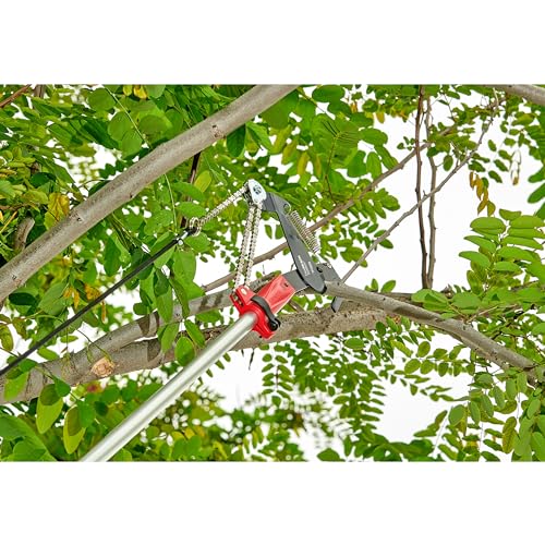 Corona FlexREACH System™ Pruner Head - size: Pruner Head