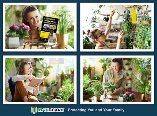 MaxGuard (20 Pack) Yellow Sticky Hanging Traps - Catch and Kill Fungus Gnats, Whiteflies, Mosquitos, Aphids, Leaf Miners, Flying Insect Catcher Glue Trappers for Indoor or Outdoor