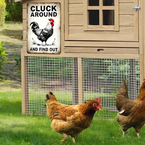 Funny Chicken Coop Sign Chicken Cluck Around and Find Out 8x12in - color: TPH375-US