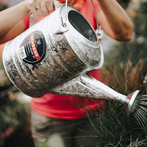 Behrens 2.5 Gallon Hot Dipped Steel Watering Can - size: 2.5 Gallon