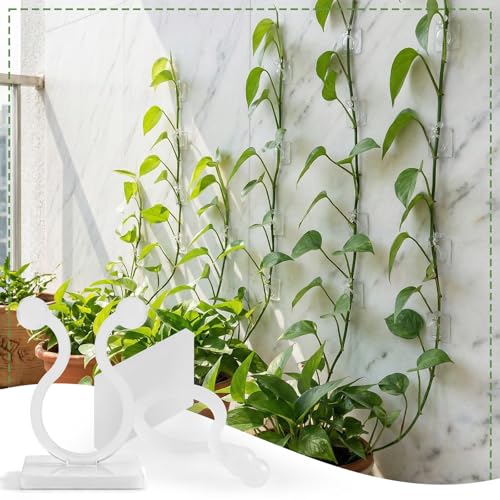 100 Pcs Plant Climbing Wall Fixture Clips, White Plant Fixer with Self-Adhesive Hook, Fixing Clip Vines Holder for Indoor Outdoor Plants Support Cable Wire (Medium)