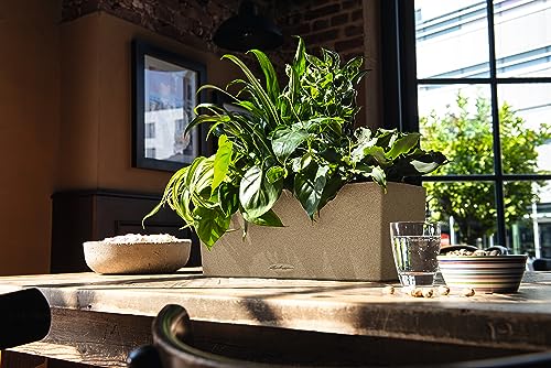 Lechuza BALCONERA Stone 50 Sand Beige, Self-Watering Window Box (Railing Planter), H7.5 L19.7 W7.5 in - color: Sandy Beige, style: 50