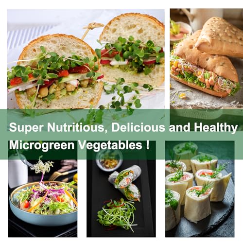 32 PCS Microgreen Mats, 5" X 5" Plant Grow Mat Hydroponic Grow Pads Microgreens Sprouting Mats Microgreens Kit for 1020 Germination Trays Wheatgrass Sprouts - size: 32PCS 5''x5''