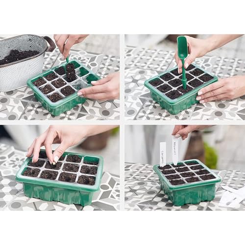 6-Pack Seed Starter Tray Kit with Grow Light