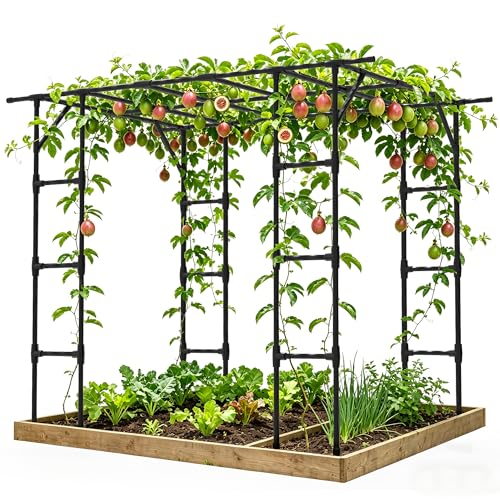Grape Vine Trellis,Heavy Duty Metal Plant Support Trellis-96L*62 * 79H in - size: 95.7(L)*61.6(W)*78.5(H) in