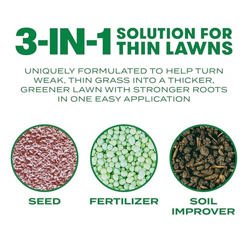 Scotts Turf Builder Thick'R Lawn Bermudagrass - Covers 1,200 sq. ft., Combination Seed, Fertilizer and Soil Improver, Fill and Repair Gaps in Thin Lawns and Enhance Root Development, 12 lb. - size: 12 lb.