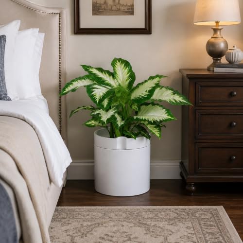 Phoenix Vine 10 Inch Cylinder Self Watering Planter, White Glazed Outer Plant Pot with Dolomite Clay Inner Planter for Indoor Plants, White, 31-A-I-W - color: White