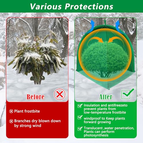 2 Pack Winter Plant Covers for Freeze Protection, 35×35×39 Inch Shrub Tent - size: 35 x 35 x 39 Inches