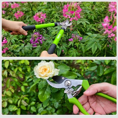 2Pcs High Carbon Steel Bypass Hand Loppers & SK5 Pruning Shears Set - style: handle loppers for gardening