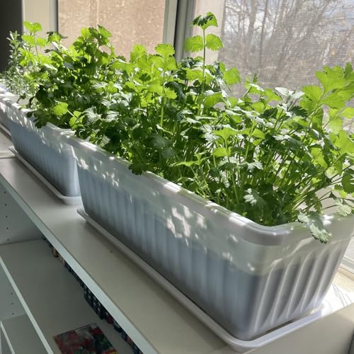 6 Pack 17 Inches Countryside Flower Box Planters, Plastic Vegetable Planters with 30 PCS Plant Labels, White Flower Window Boxes with Attached Tray for Windowsill, Patio, Garden, Balcony… - size: 6 Pack White