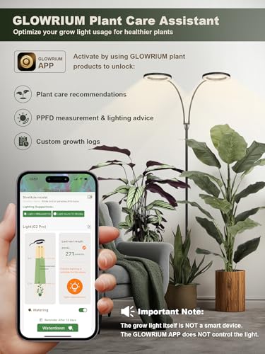 GLOWRIUM Tall Plant Grow Light for Indoor Plants, Full Spectrum Plant Light - color: Black (Dual Heads)