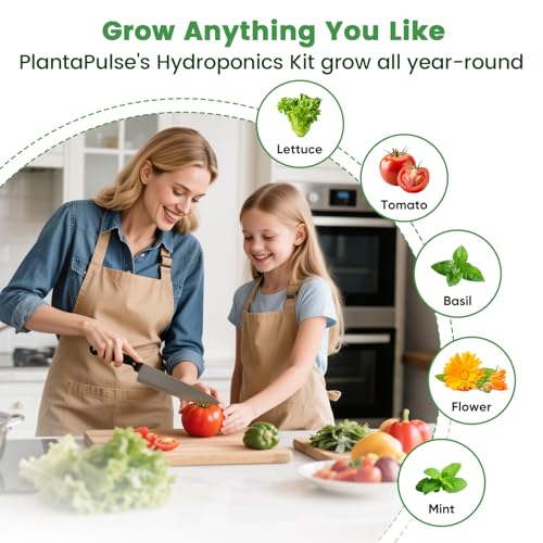 Hydroponic Pods Kit, Compatible with AeroGarden, 121Pcs - size: 121 Pcs-60 Grow Sponges, 60 Labels & 1 Tweezers