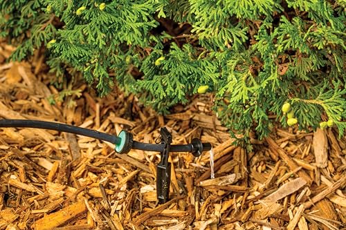 Rain Bird CVD2010PKXS SAM Drip Emitter, 2 GPH, 10-Pack - style: 2 GPH