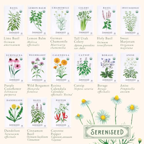 Sereniseed Certified Organic Herb Seeds 35-Pack | Non-GMO Heirloom Variety for Indoor Outdoor Culinary Gardening Gift Kit - size: 35-Pack