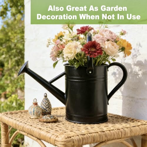 1 Gallon Watering Can for Outdoor&Indoor Plants,Black - color: Black