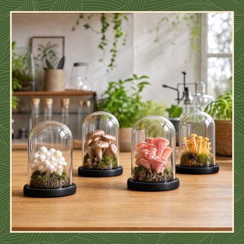 Suclain 4Pc Glass Dome Cloche with Wood Base, Black, 5.1" X 3.8" - color: Black, size: 5.1" X 3.8"