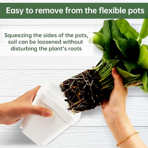 120 Pcs Nursery Pots 3.5 Inch, Plastic Seed Starting Pot with Drainage Holes, Small Sturdy Seedling pots for Planting, Cuttings (White) - color: White, size: 3.5 Inch-120P