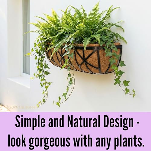 LaLaGreen 30 Inch, 2 Pack Window Boxes Planters – Black Metal Window Boxes for Outdoor Plant, Wall Mount Flower Pot with Coco Coir Liner, Attach to House Fence Balcony Herb for Patio Porch Garden - size: 30'' x 2 pack