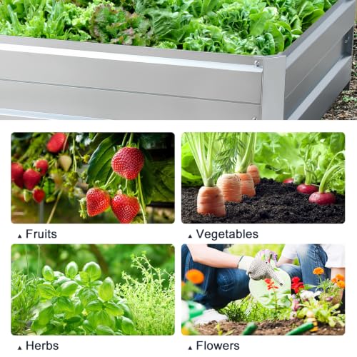 Galvanized Raised Garden Bed Kit, Metal Planter for Vegetables & Herbs, 13.5x3x1FT, Easy Assembly - size: 13.5x3x1FT