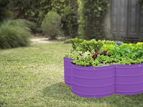 Plant & Plot Galvanized Raised Garden Beds Outdoor // 3×3×1 ft Planter Raised Beds for Gardening, Vegetables, Flowers // Large Metal Garden Box (Purple) // Patented Tool-Free Design - color: Purple