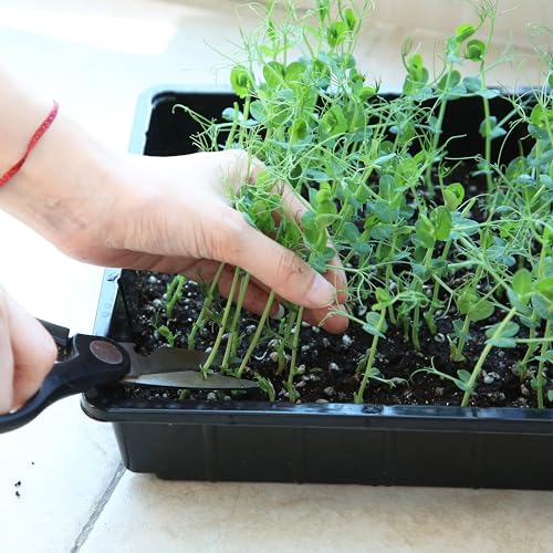 Mr. Pen- Seed Starter Trays, 5 Pack, 17"x10"x2.4" - color: Black, size: 10 Pack