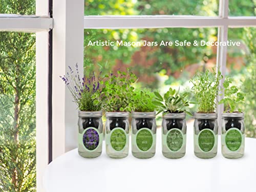 Hydroponic Herb Growing Kit Set, Self-Watering Mason Jar Herb Garden Starter Kit Indoor, Windowsill Herbs Garden, Grow Your Own Herbs from Organic Seeds (Basil, Dill, Chives) - color: Basil, Dill & Chives
