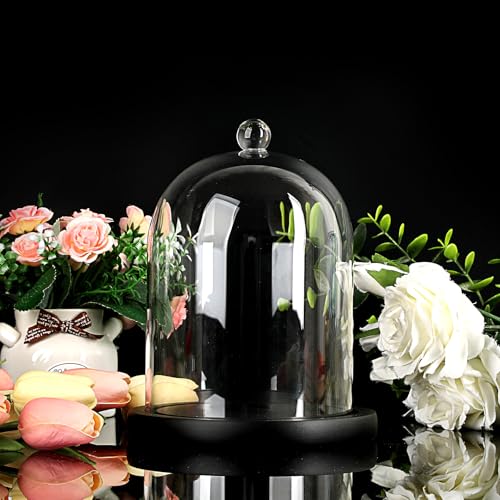 JUXYES 4.5x6 Clear Glass Display Dome Cloche with Handle & Black Wood Base - color: Black