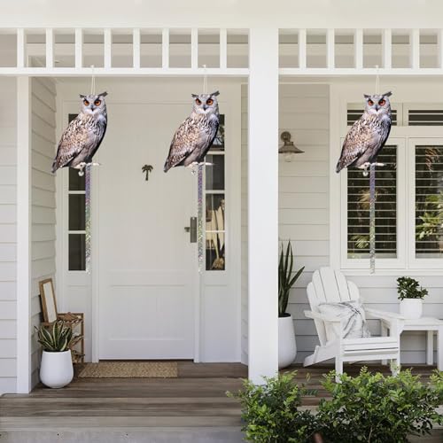 Owl to Keep Pigeons Away, 5 Pack Fake Owls, Pigeon Scare - color: Amazed Eagle 5pc