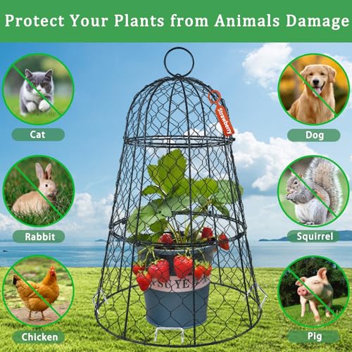 6 PCS 17.7"H X 11.42"D Garden Cloches,Chicken Wire Plant Covers Protectors Modular Design for Customizable Protection,Rust-Proof Heavy Duty Metal Plant Cage for Seedlings Flowers Protect from Animals