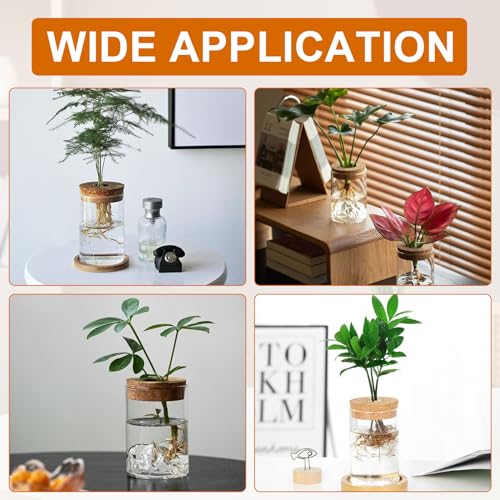 6 Pcs Plant Propagation Terrarium Glass Vase Containers