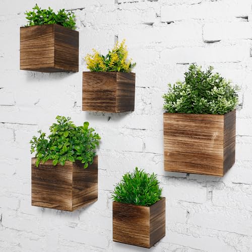 Ziliny 6 Pack Wooden Wall Planters Rustic Hanging Wall Planters, 3 Sizes - size: 3 Sizes