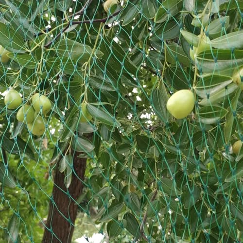 Bird Netting for Garden 6.5 x 100 FT, 1/4 Inch Mesh - size: 6.5×100FT,1/4 In Mesh