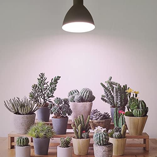 Smart Grow Light Bulbs for Indoor Plants, Programmable Timer and Dim - size: 6 Pack