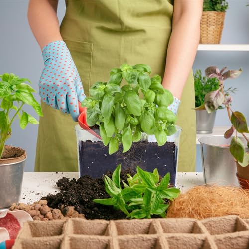 Oliz 4pk Self-Watering Windowsill Planters, Clear Plastic w/Drainage Holes