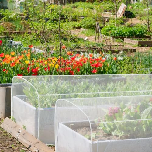 Woanger 3 Pcs Garden Netting for Raised Beds 4 x 2 x 2 ft for Garden - size: 4 x 2 x 2 ft