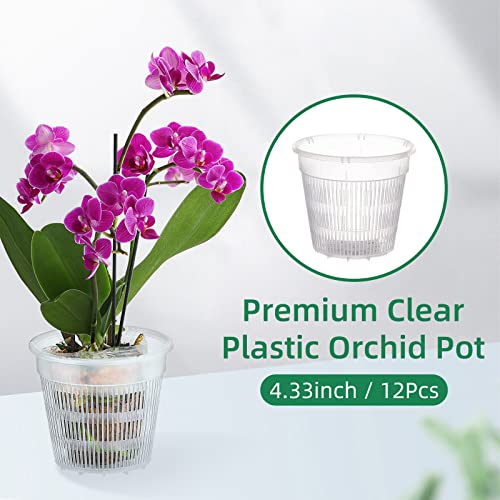 Orchid Pot 4 inch Orchid Pots with Holes 12 Pcs Clear Plastic Orchid Pots Slotted for Repotting Clear Nursery Net Plastic Flower Plant Pot Indoor Outdoor (4.3inch, 12pcs) - size: 4.3 Inch