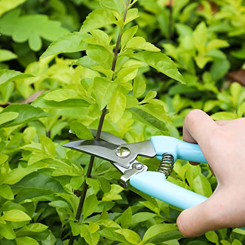 Lothee 12 Pcs Flower Stem Cutter Gardening Scissors Floral Clippers