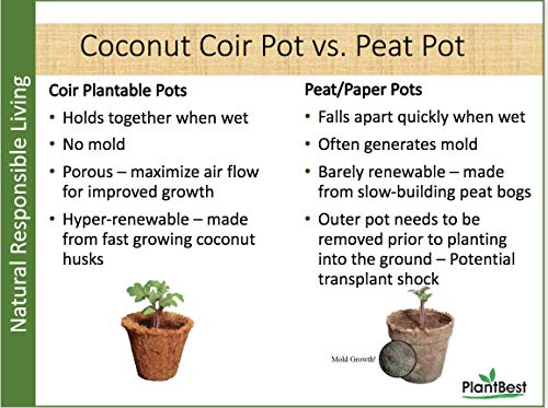 Coconut Coir Greenhouse Kit 50 pots