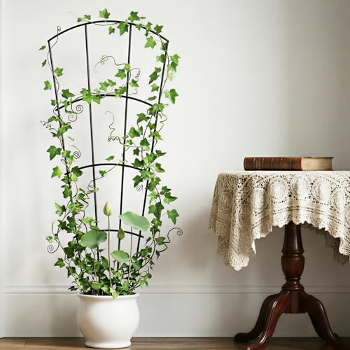 Thealyn 56" Tall Metal Plant Trellis for Climbing Plants, 8 Pack, Black - color: Black, size: 56 inch-8 Pack