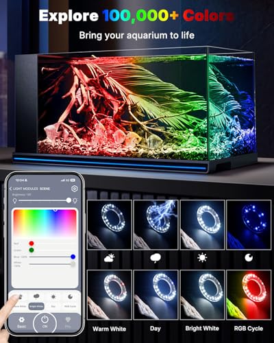 Pawfly 6W Smart Bluetooth Fish Tank Clip Light, Full Spectrum LED Aquatic Light with 24-Hour Cycle Timer & Variable Brightness, USB Supply for 1-5Gal Small Tanks (Adapter Not Included) - size: For 1 to 5 Gallon Fish Tank(Bluetooth)