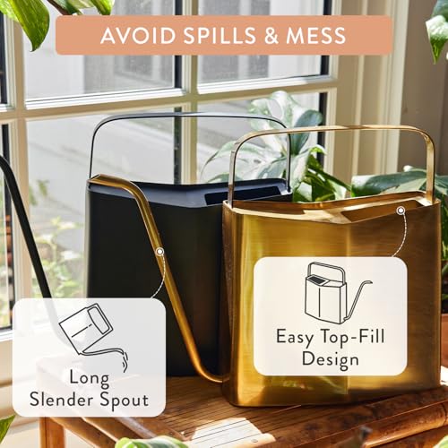 Modern Sprout Brass Watering Can - 3L Stainless Steel - Long Spout (Black)