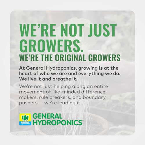 General Hydroponics GH3253 Rapid Rooter Replacement Plugs 50 Count - size: 50 Count