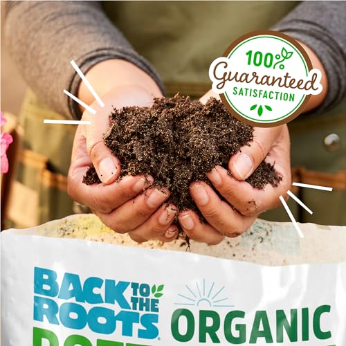 Back to the Roots 100% Organic Potting Mix (6 Quart) Premium Blend Made in The USA - size: 6 Quart, style: Premium Potting Mix