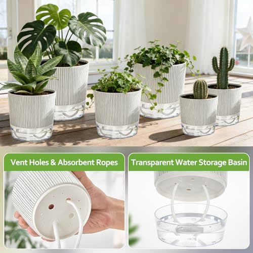6 Pack Self Watering Pots for Indoor Plants, 4/5.5/6.3 Inch Flower Pots - color: 2s+2m+2l, 6pcs Black Stripes
