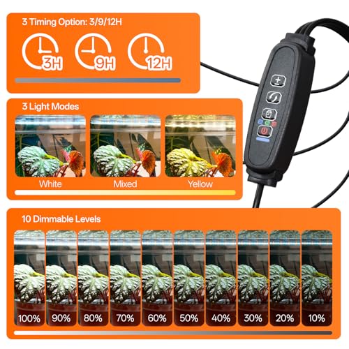 Bstrip Small Tabletop Greenhouse with Grow Light, Indoor Seed Starter Kit