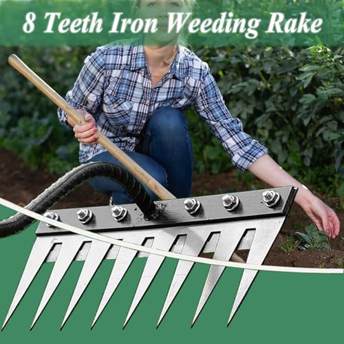 Weed Puller Tool - Upgrade Iron Weeding Rake, 2026 New Iron Rake for Gardening and Weeding, 8 Teeth Manual Weeder Remover Too, Detachable Garden Weeder Tool for Dethatching Lawn Loosening