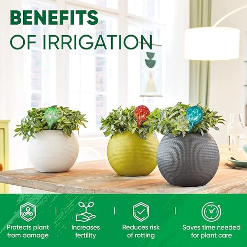 Plant Watering Globes Set of 6, Small - Glass Self Watering Globes - style: Set of 6 Small