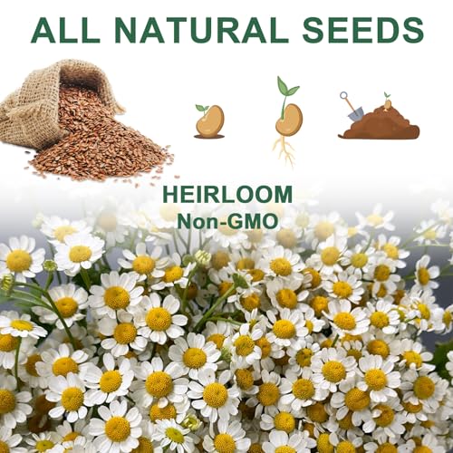 Lavender Seed Pod Kit, 8 Pod Kit (Include Seed Lavender/Chamomile/Holy Basil/Borage/Calendula/Mint) Fresh Tea Seed Pod Kit Compatible with Hydroponics - color: Lavender