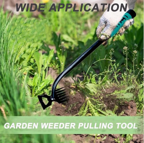 Weed Puller Gardening Hand Weeder Tools,Portable Artifact Uprooting Weeding 6 Teethes Manganese Steel Weed Removal Dual Purpose Manual Hand Pulling Tool for Lawn Garden - color: Green